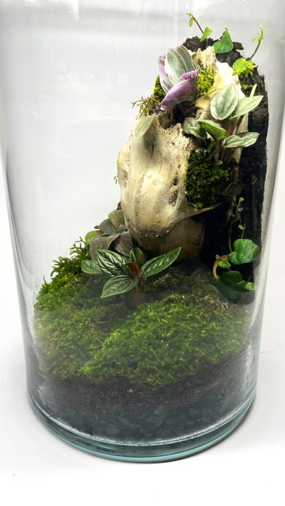 BIOSPHÈRE BIOACTIVE "BONE" - GRAND MODELE 16 X 29.5 cm - NATUR'D
