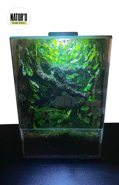 NANO TERRARIUM - NATUR'D