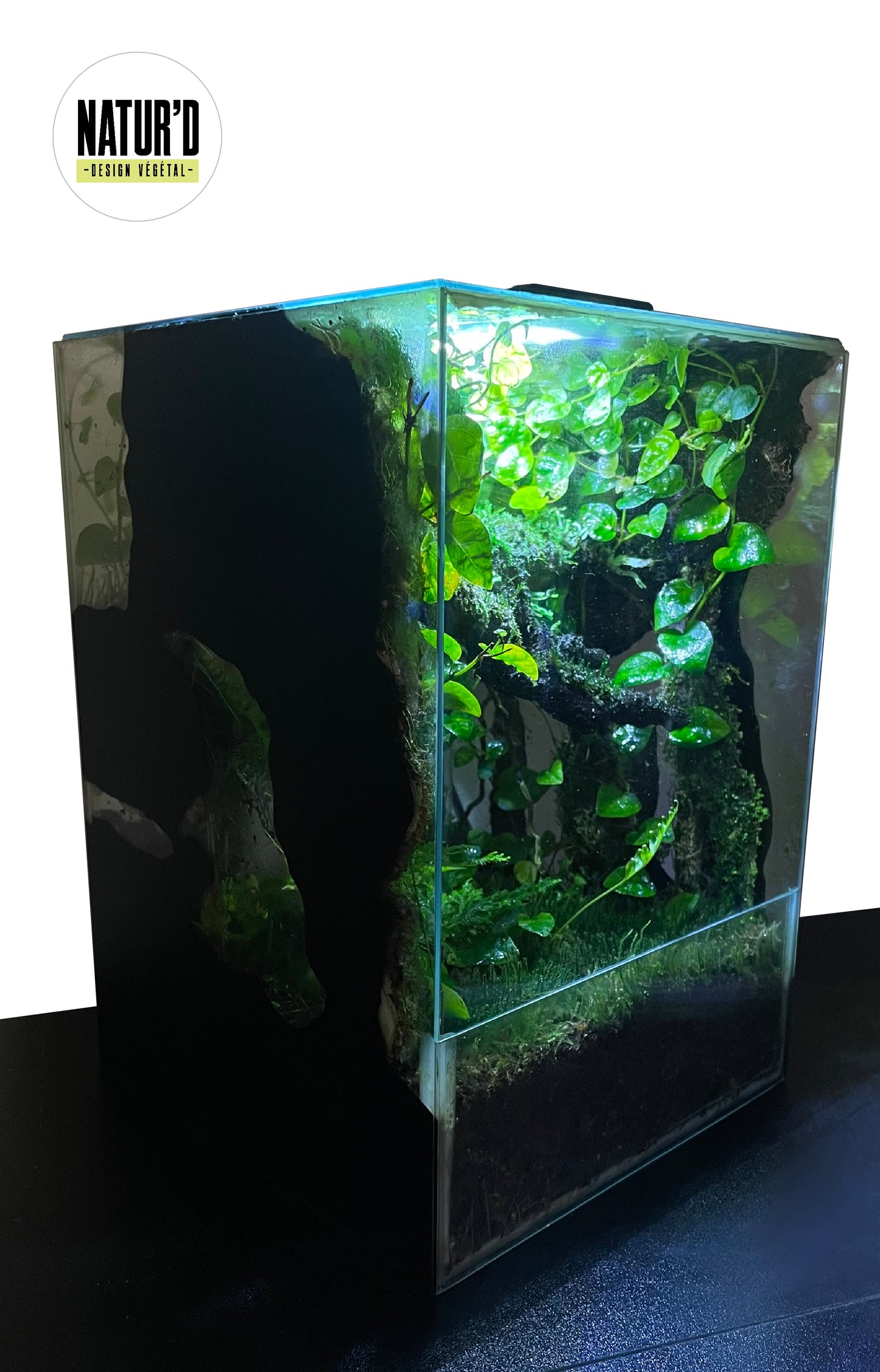 NANO TERRARIUM - NATUR'D
