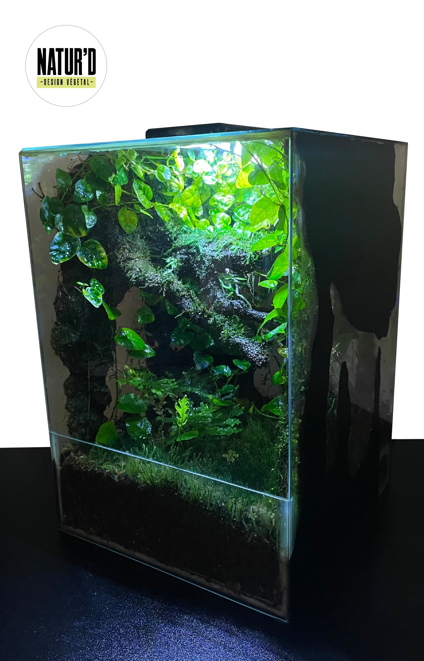 NANO TERRARIUM - NATUR'D