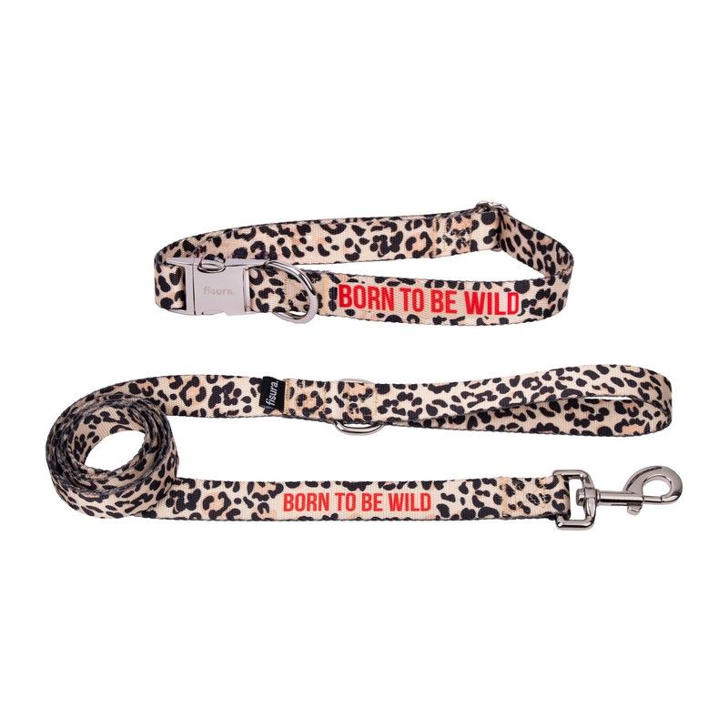 PACK COLLIER + LAISSE - BORN TO BE WILD - FISURA