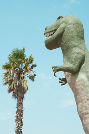 MISTER REX 30x40cm - DAVID&DAVID