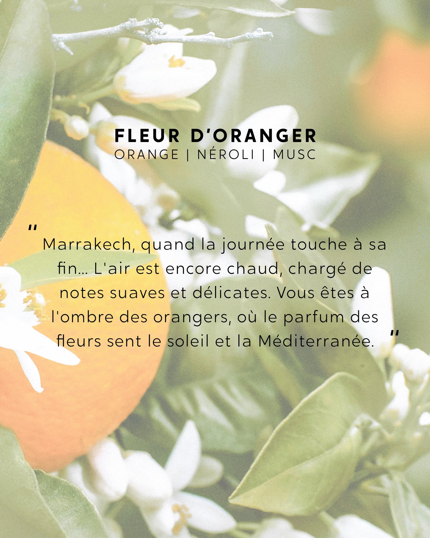 SPRAY D'INTERIEUR " FLEUR D'ORANGER " - MY JOLIE CANDLE