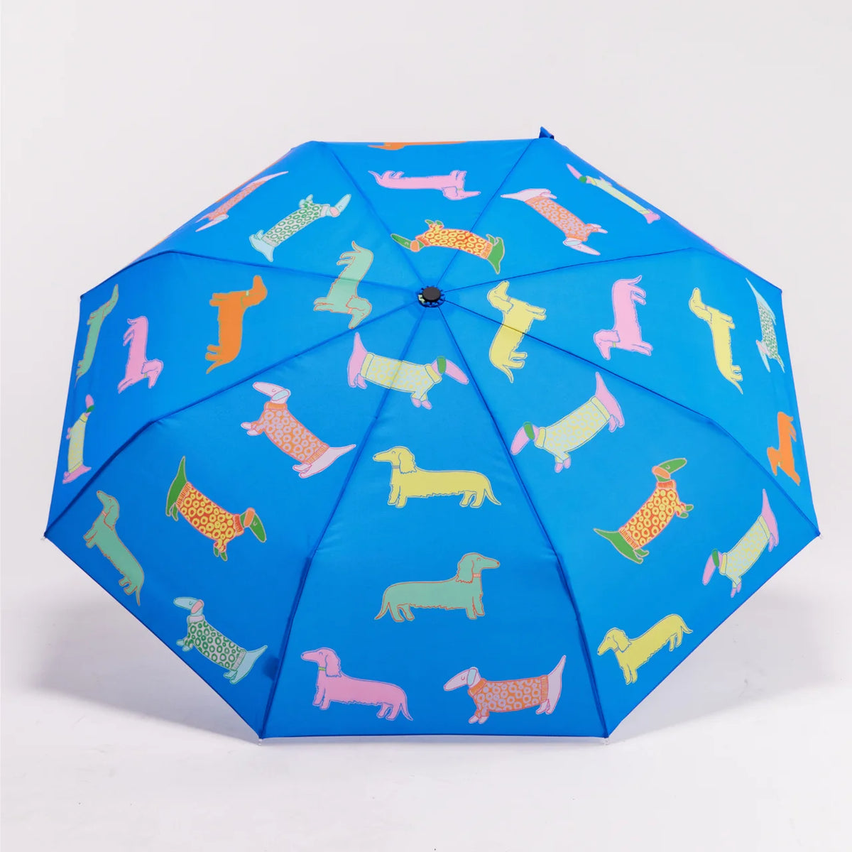 PARAPLUIE  DOGS IN BLUE - ORIGINAL DUCKHEAD