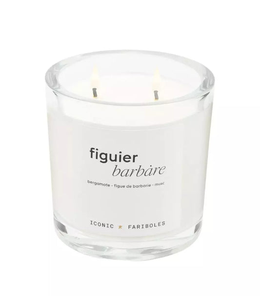 BOUGIE ICONIC 320g - FIGUIER BARBARE - FARIBOLES PARFUMS