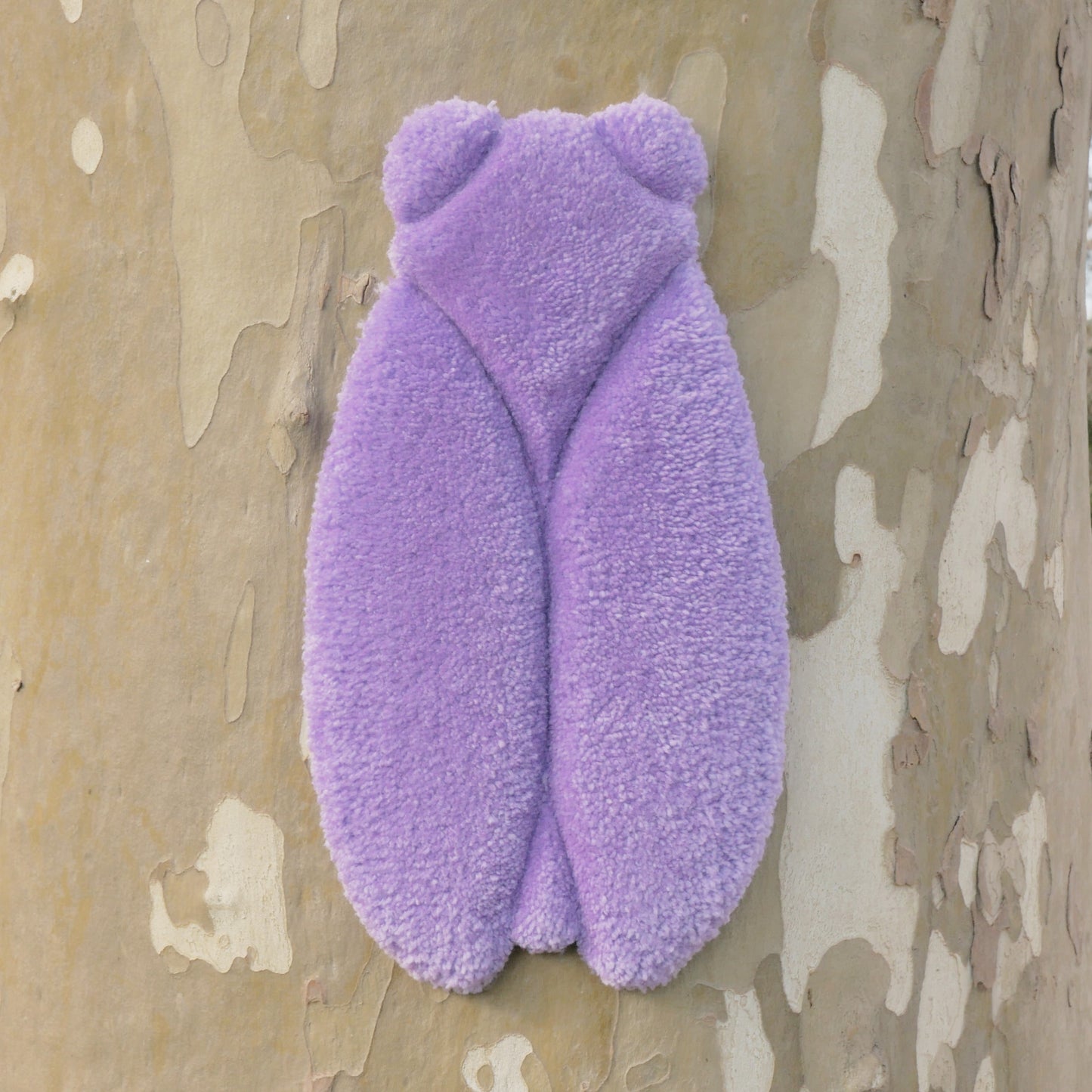 CIGALES TUFTEES - LADY AUTONAUTA