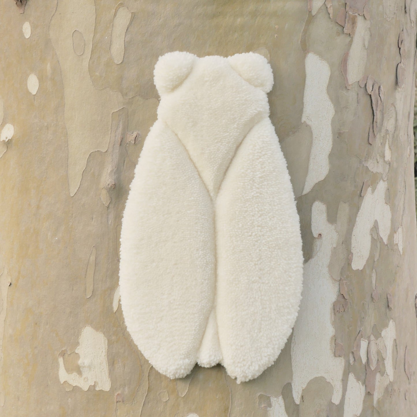 CIGALES TUFTEES - LADY AUTONAUTA