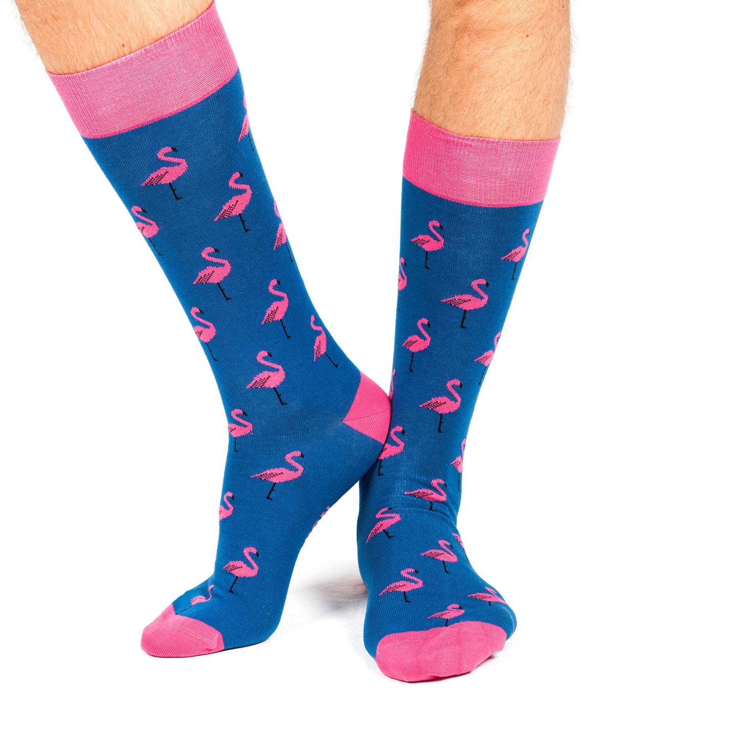 CHAUSSETTES - FLAMINGO - BLEU&ROSE - JIMMY LION