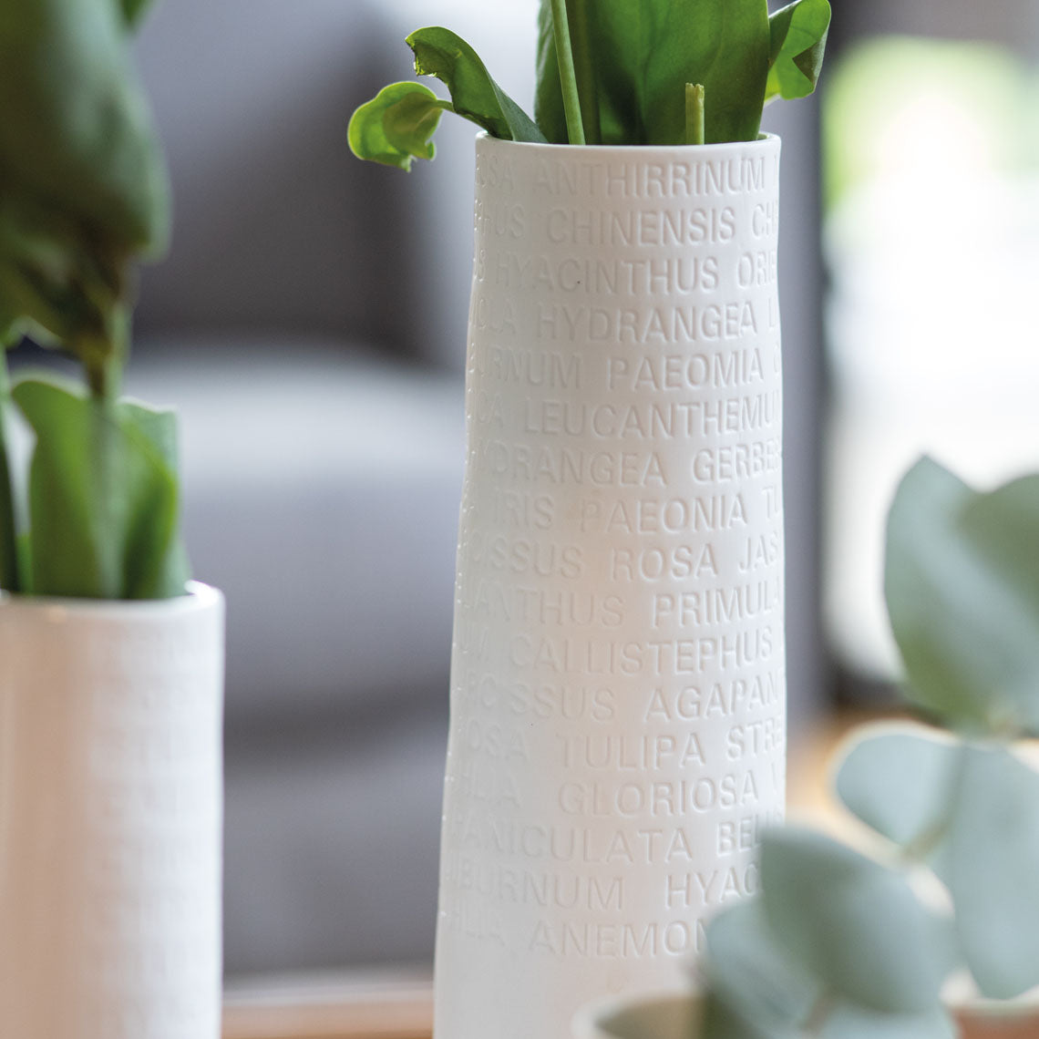 ROOM POETRY VASE - RADER DESIGN STORIES